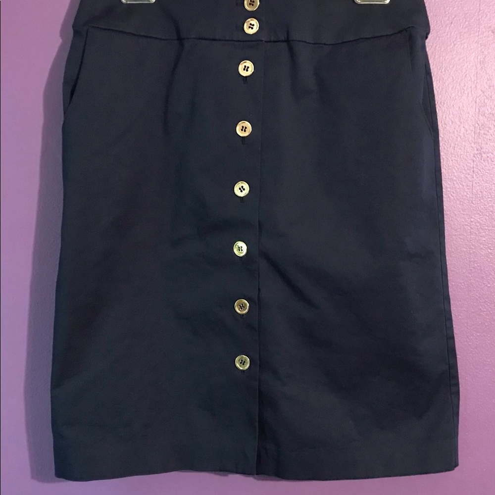 Talbots Petites Skirt